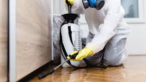 Best Pest Prevention Services  in Upper Ack, NY